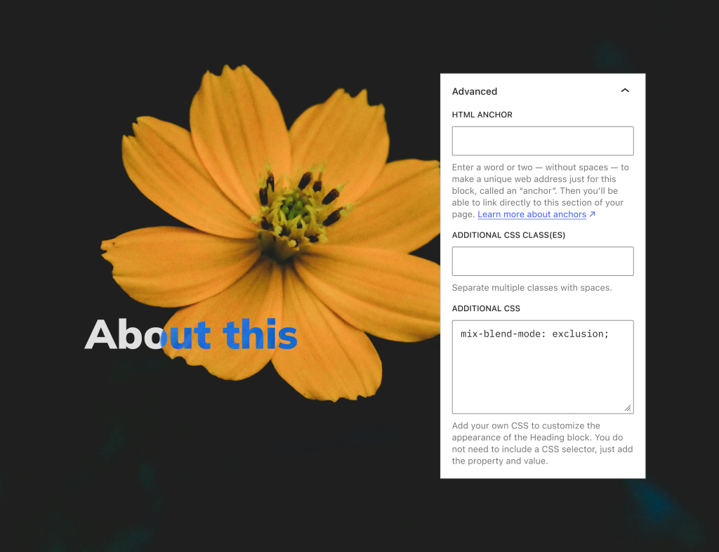 Screenshot showing block-level custom css box